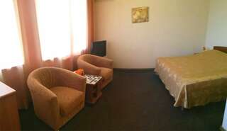 Гостиница Круиз Пермь Стандартный номер с двуспальной кроватью-5